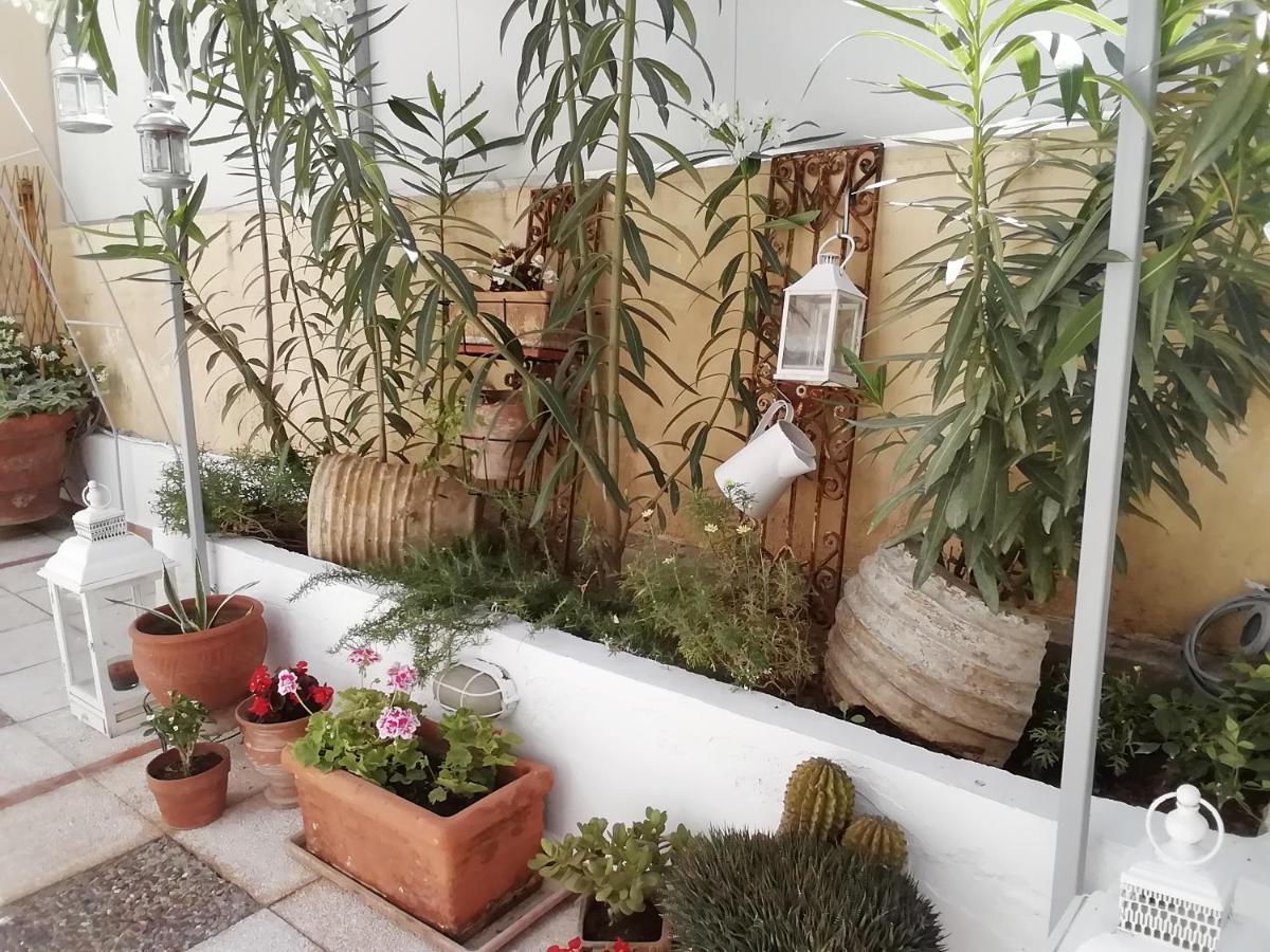 Amazing Semi-Basement Art Apartment Easy Walk To Nafplio Centre ภายนอก รูปภาพ